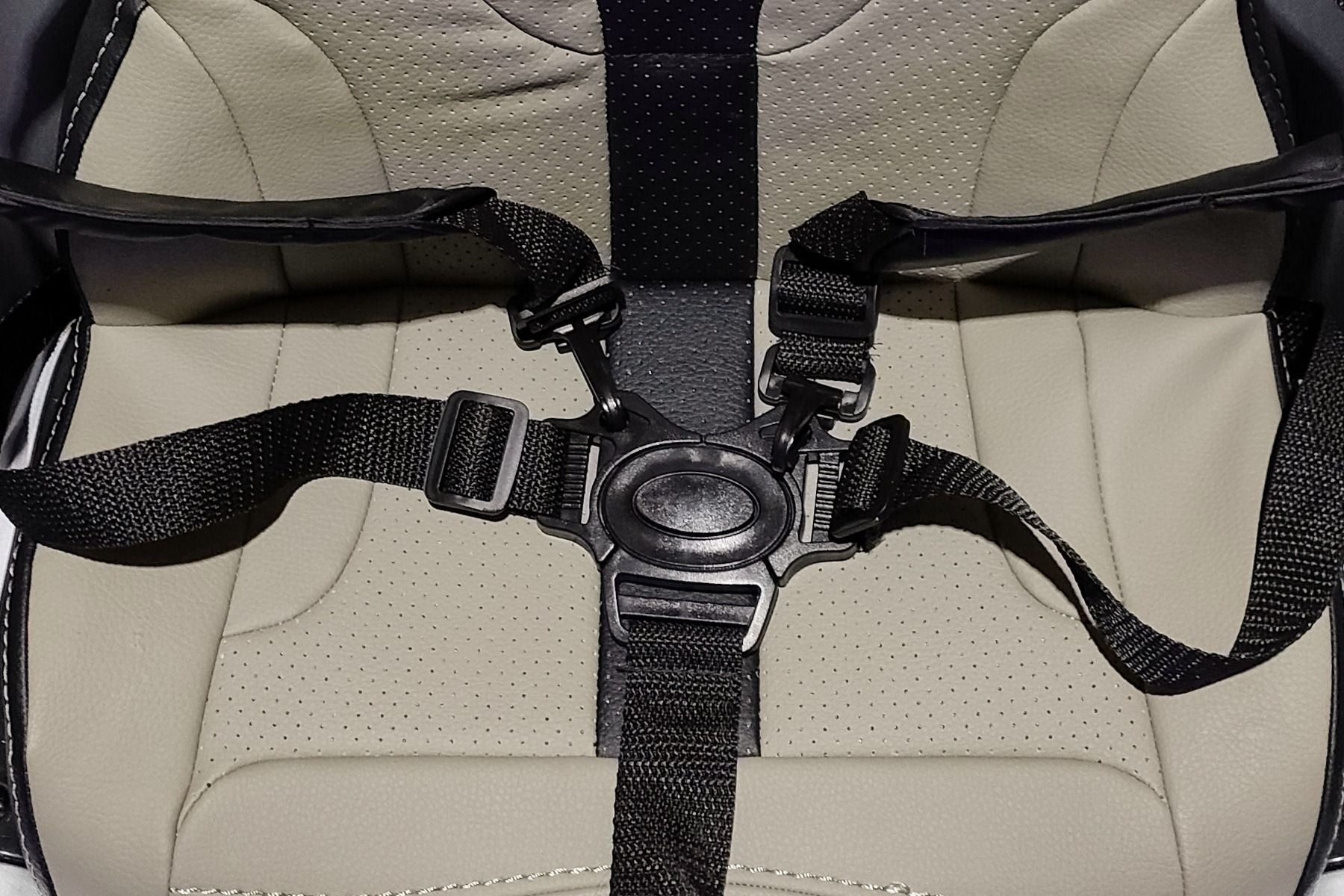 5 point safety belt