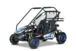 Petrol Go-Kart for children Beneo Motors BUGGY RSX XL blue - 212cm3
