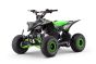 ATV - Quad for Children Beneo Motors ZXY Green - 125cc