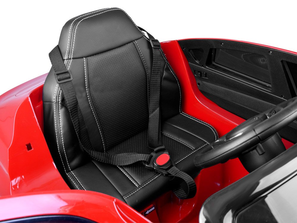 Leather seat and seat belt
